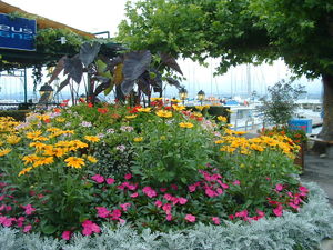 DSCF0477