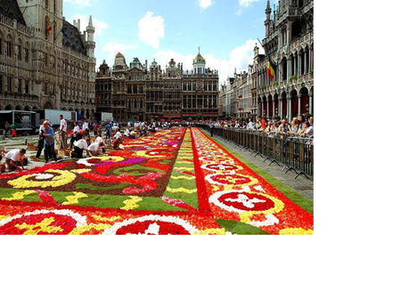 tapis_de_fleurs5