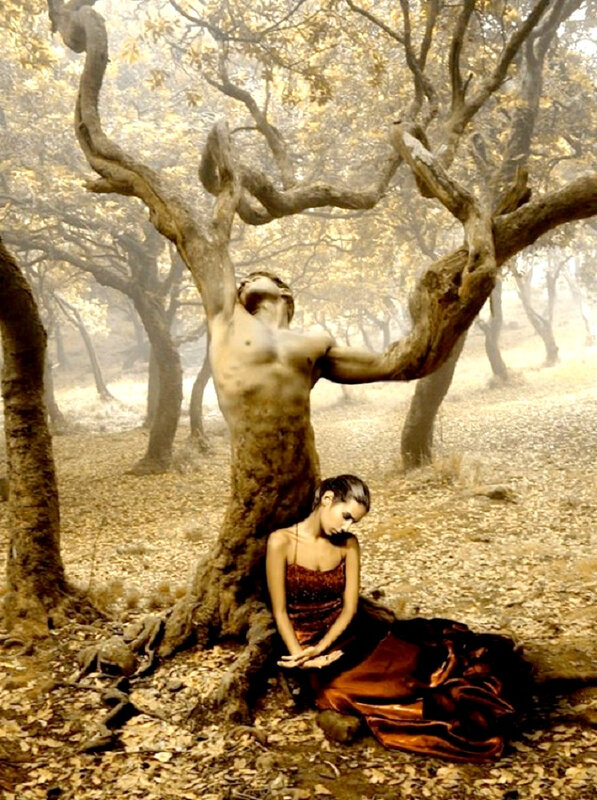 femme et arbre homme