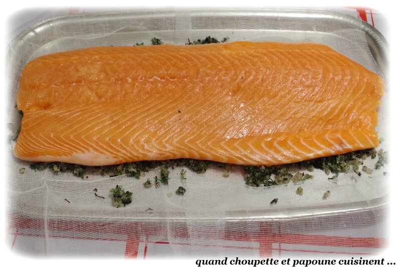 gravlax-6790