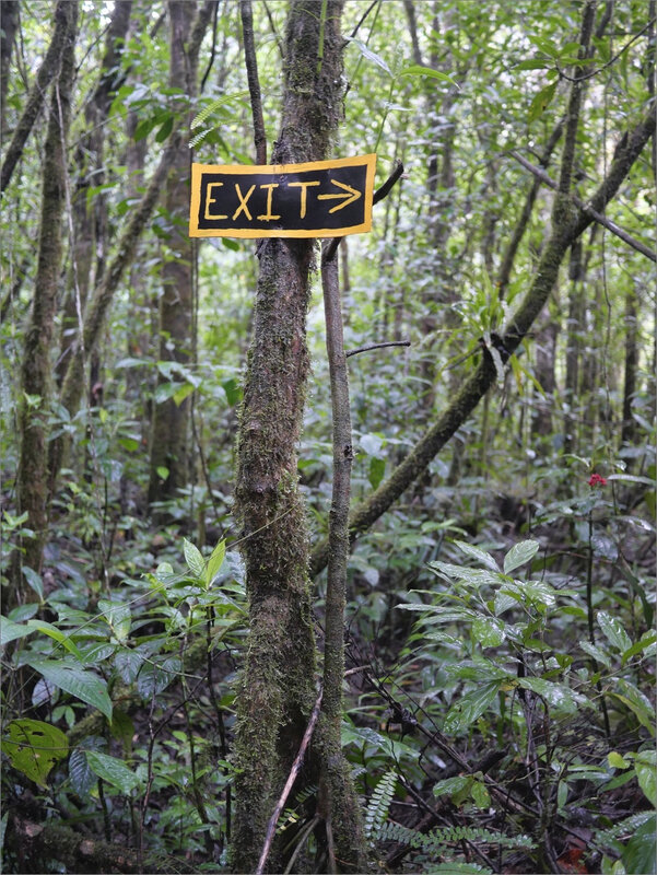 J2 Arenal La Fortuna rando Lumix 021219 ym 20 flechage exit