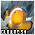 clown_fish