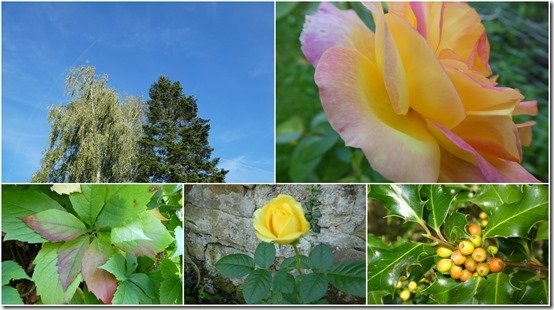 jardin 1er octobre 20232