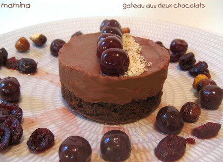 Gateau_aux_2_chocolats