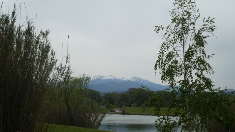 Vu sur le Canigou CM le 18042019