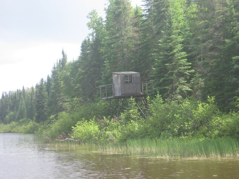 Cache de chasseur à l'orignal Lac Turgeon