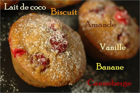 Muffins_biscuit_amande_cocolact_s_fruits___vanille_5