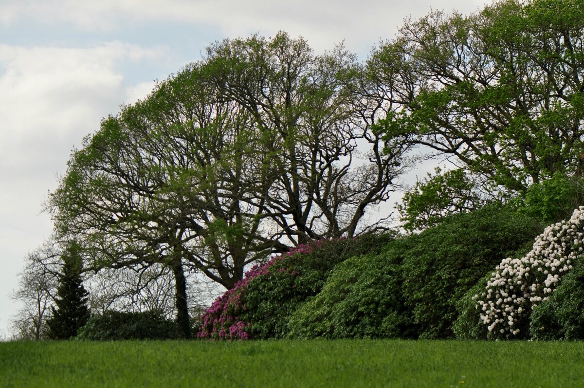 DSC_1274