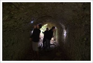 DSNE_chauve_souris_souterrain_2_230110