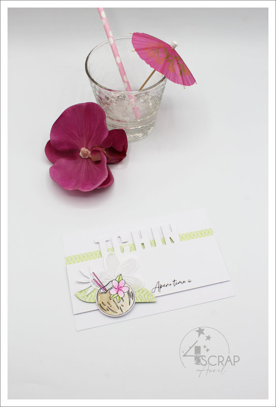 040522 - Cartes Cocktails - AP E22 - J5 #5