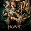 Le Hobbit : La <b>désolation</b> de <b>Smaug</b> - Peter Jackson
