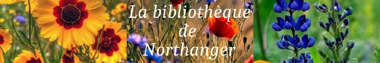 La bibliothèque de Northanger