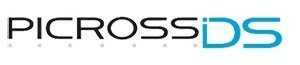 Picross_DS_logo