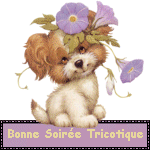 bonne_soir_e_tricotique