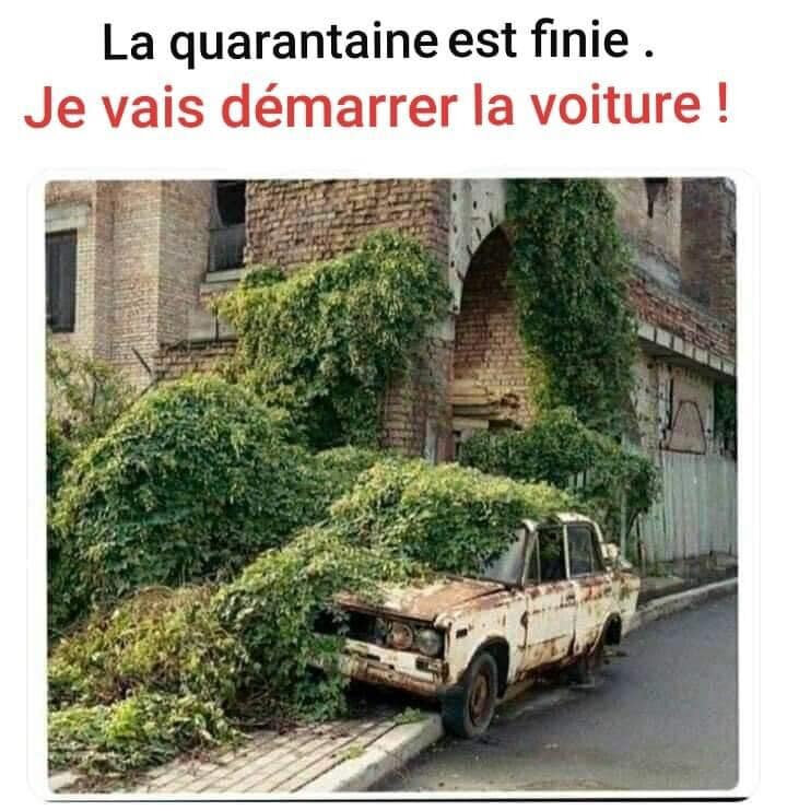 voiture