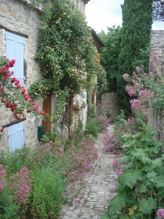 Ruelle fleurie