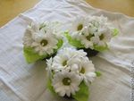 marguerite1