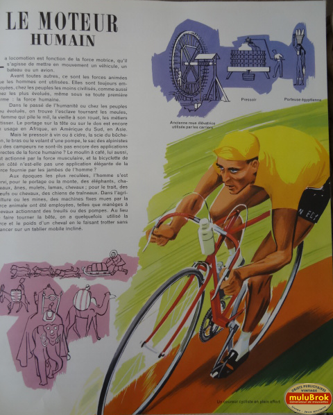 VITESE ENCYCLOPEDIE muluBrok (2)