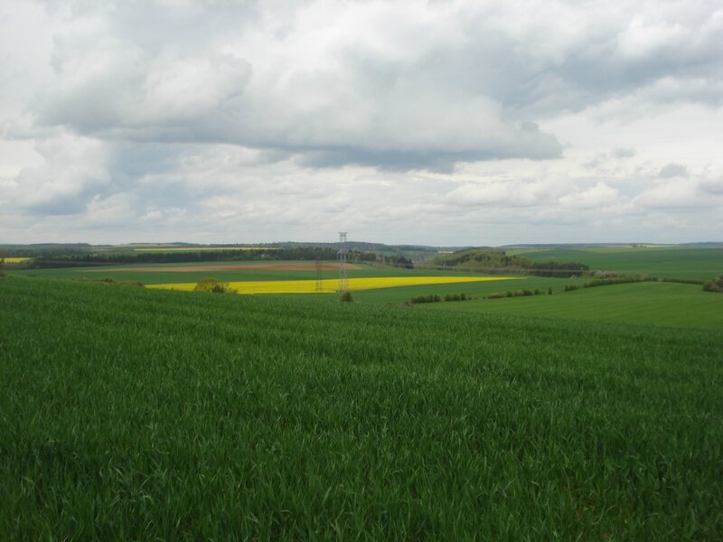 DSC06578