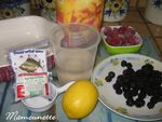 P_tes_de_fruits_aux_m_res_sauvages_et_aux_framboises_004
