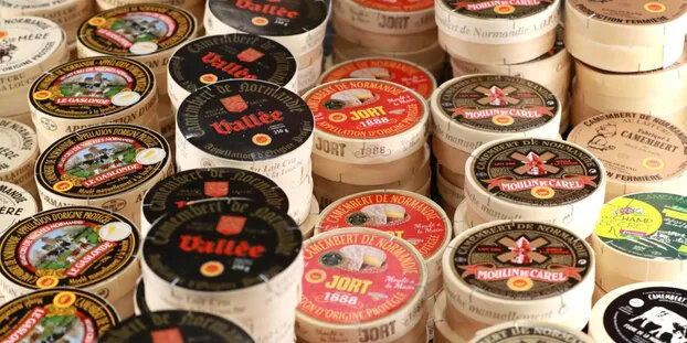 L-origine-du-lait-n-est-plus-obligatoire-sur-l-etiquette-juge-le-Conseil-d-Etat