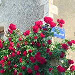2013-07-0719