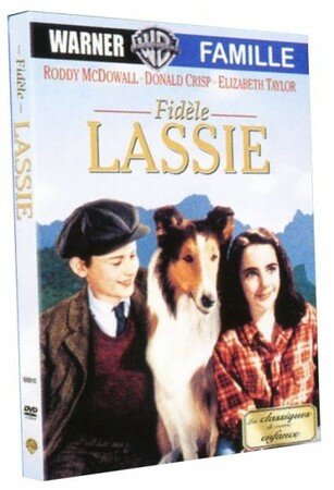 lassie2