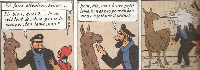 Tintin