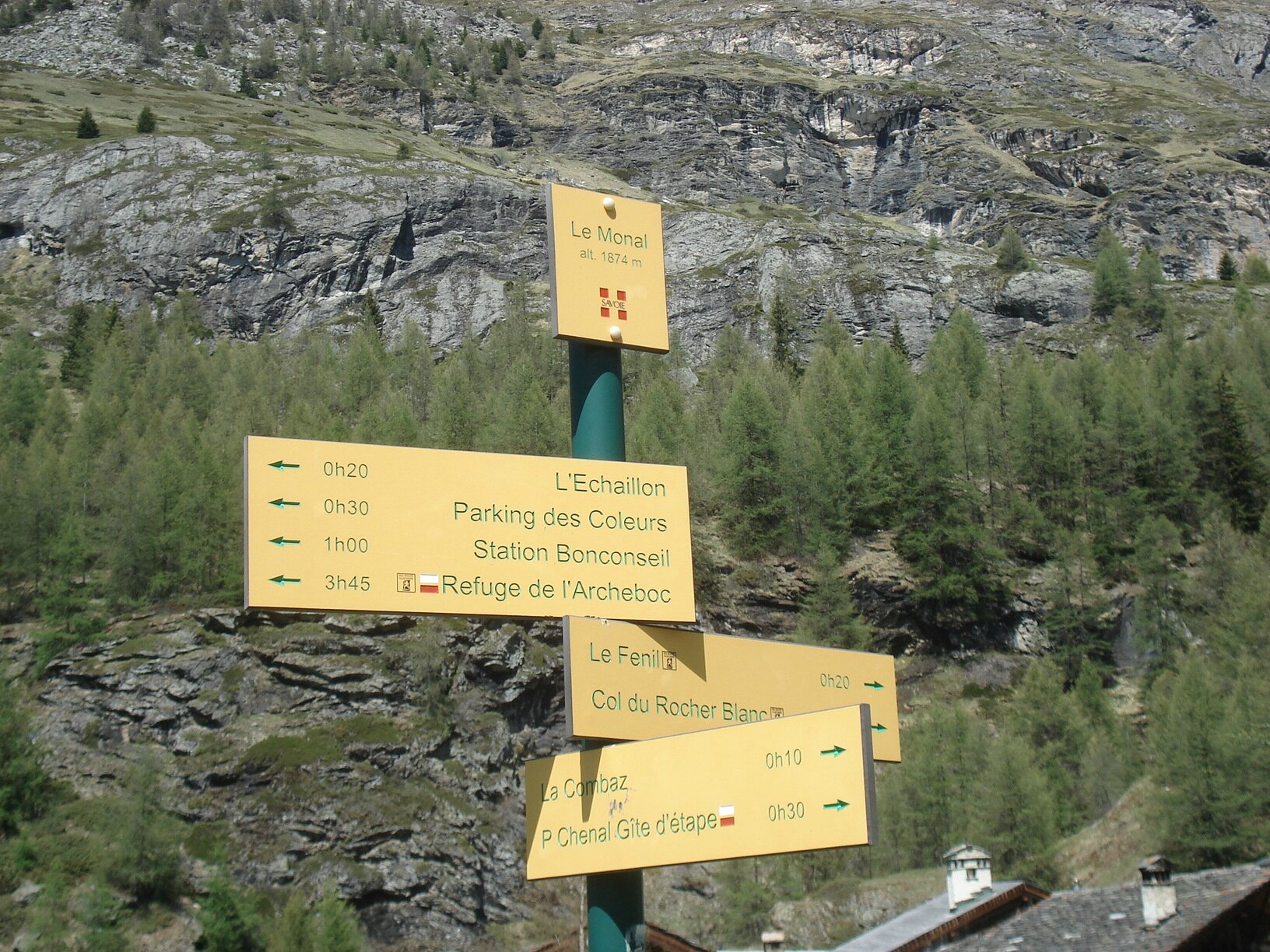 DSC06003