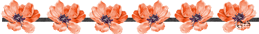 barre_fleur_orang_es