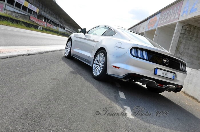 MustangV8_copyrightTasunkaphotos2016_03