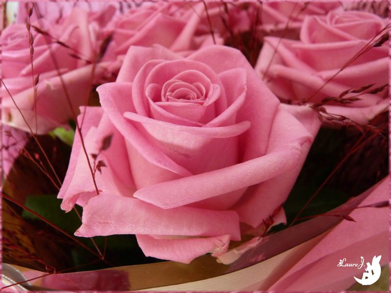 Bouquet roses 4