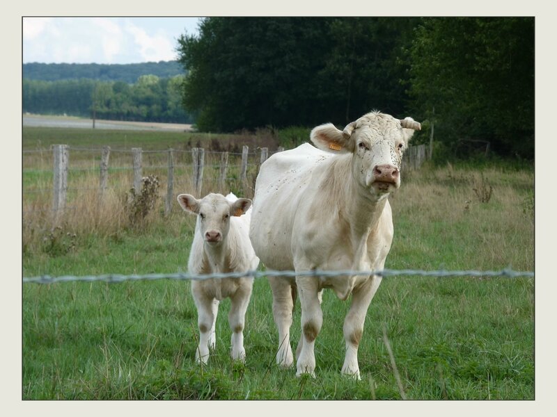 3 madame et son fils