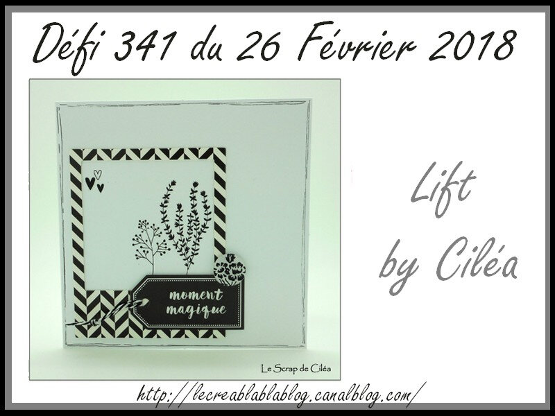 Défi 341