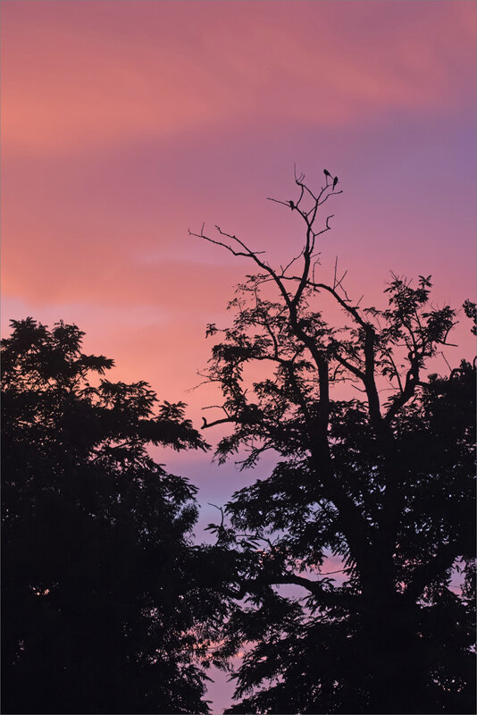Ville pluie soir 010819 ym 15