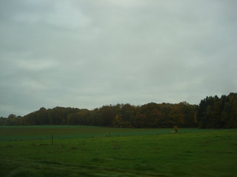 DSC08759