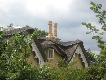 Photo_045