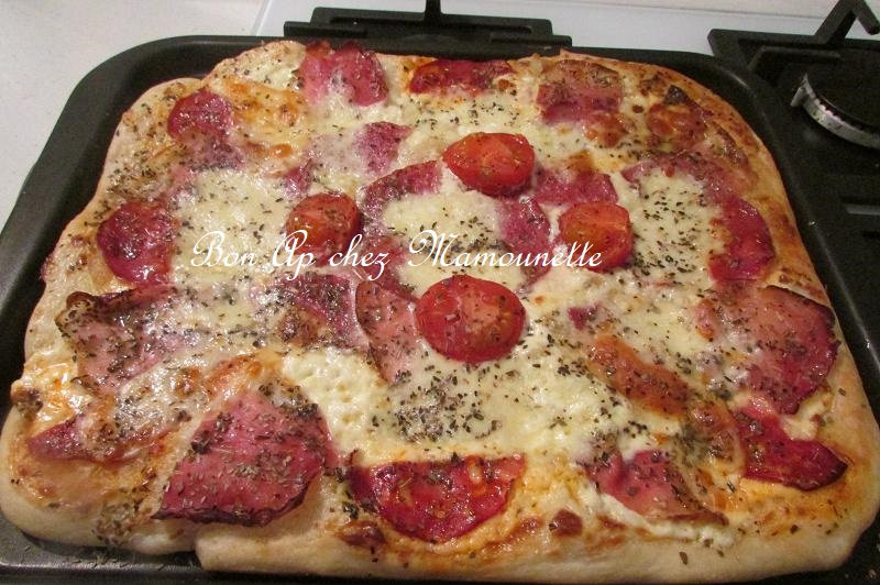 pizza chorizo salami mozza jambon fumé 013-