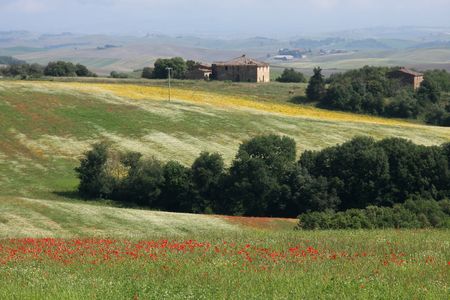 Toscane Juin 2013 - 09