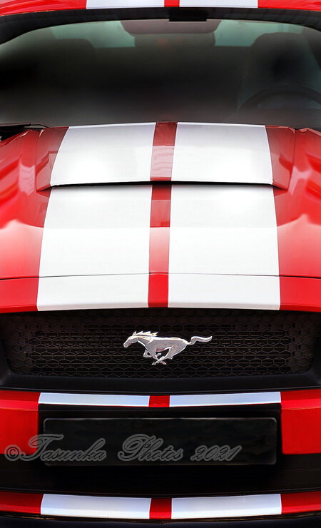 Mustang2015_©TasunkaPhotos_ (3)