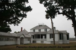 2___plantation_kinsley