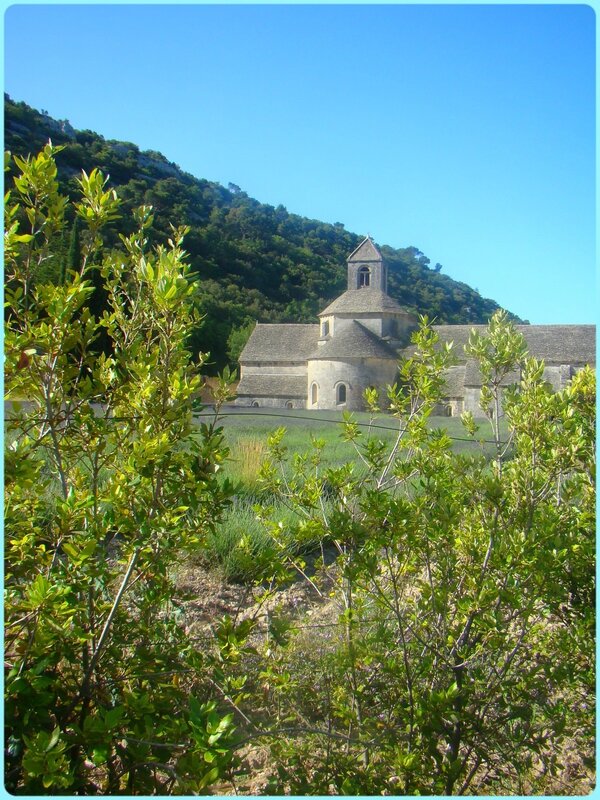 abbaye_senanque_1