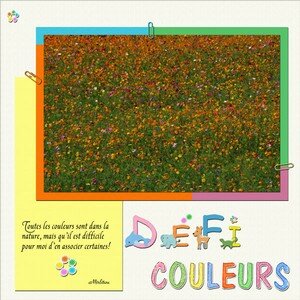 Chall_couleur_03_08