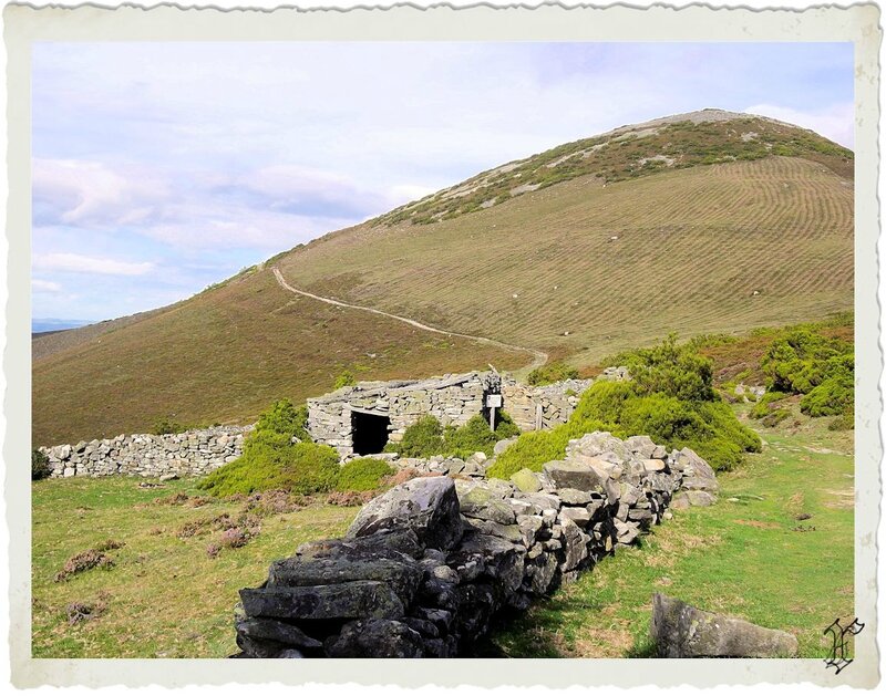 ruines hospital