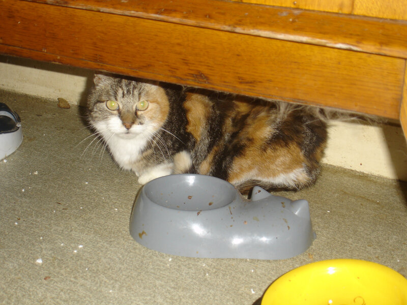 DSC05856