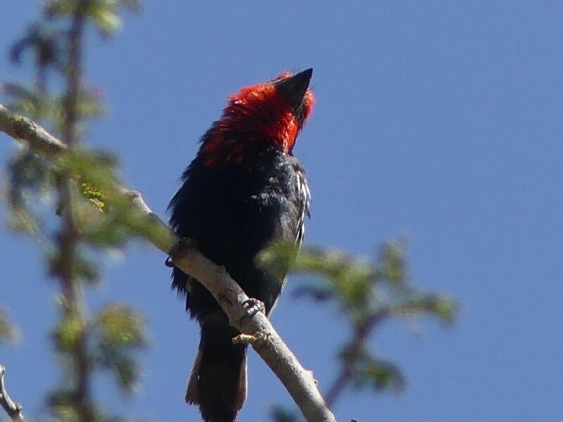 P1040691