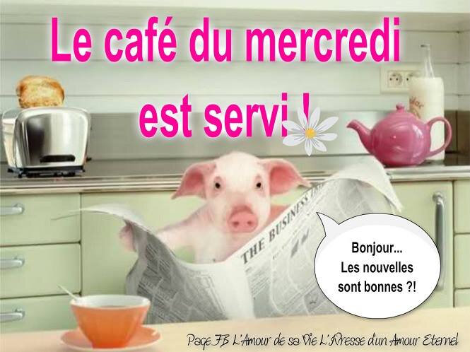 3 bme café serviBPat19