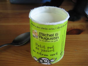 Photo_008