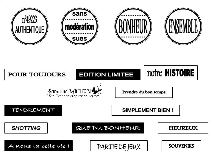 Sandrine VACHON planche 74