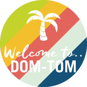 LOGO-WELCOME-TO-DOMTOM-KESIART-BLOG